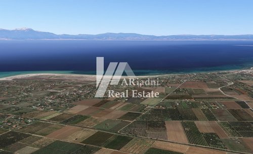 Земельный участок на продажу - Chalkidiki - Отдых